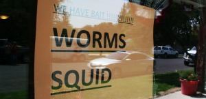 worms_squid_kahlotus_wa